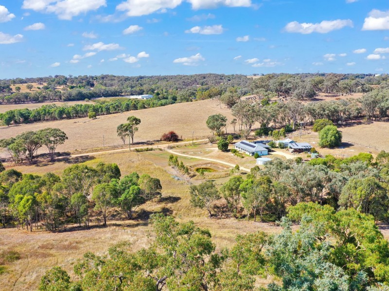 100 Hollands Road, Young NSW 2594