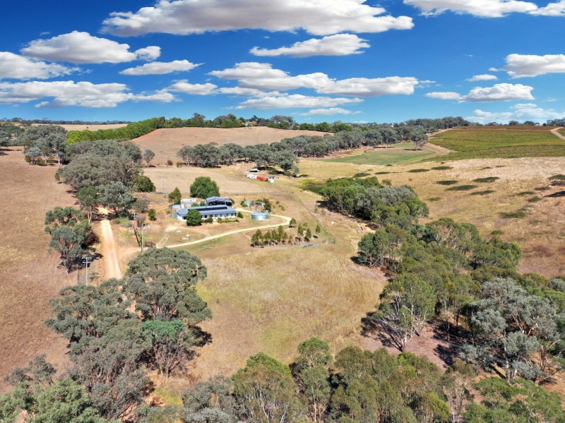 100 Hollands Road, Young NSW 2594