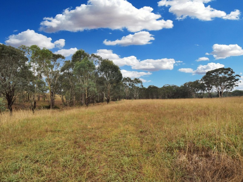 100 Hollands Road, Young NSW 2594