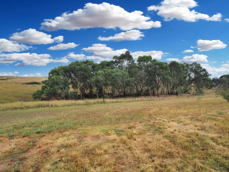 100 Hollands Road, Young NSW 2594