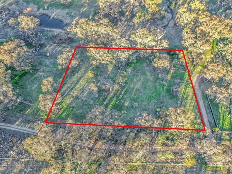 21 Dairymans Lane, Young NSW 2594