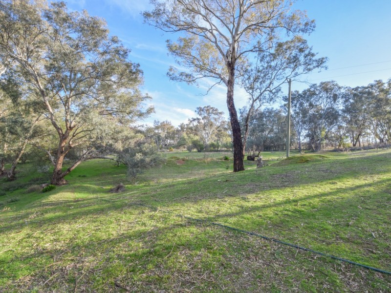 21 Dairymans Lane, Young NSW 2594