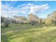 21 Dairymans Lane, Young NSW 2594