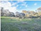 21 Dairymans Lane, Young NSW 2594