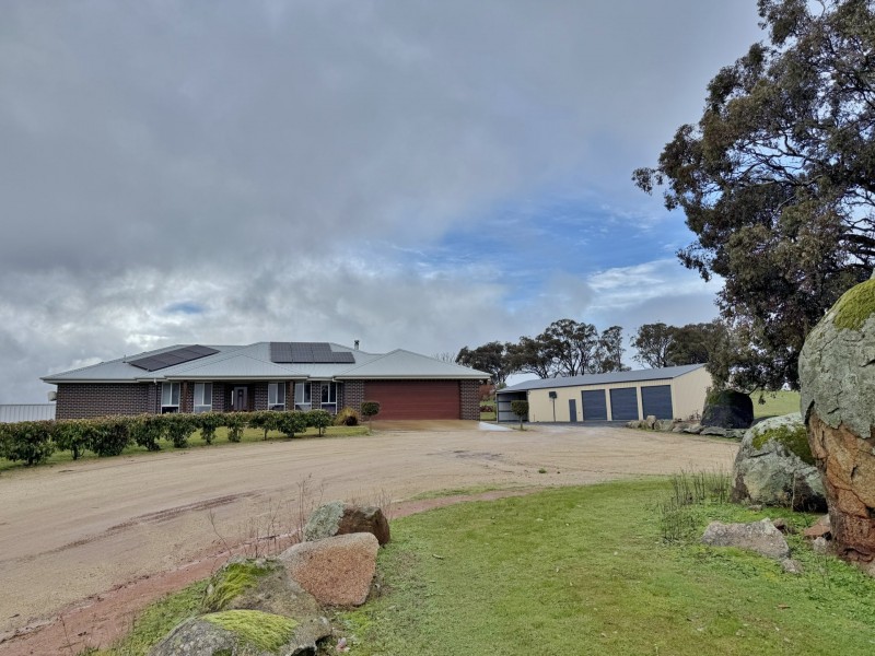 403 Spring Creek Road, Young NSW 2594