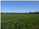 176 Bimbi Rd, Young NSW 2594