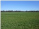 176 Bimbi Rd, Young NSW 2594