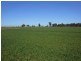 176 Bimbi Rd, Young NSW 2594
