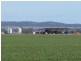 176 Bimbi Rd, Young NSW 2594
