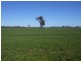 176 Bimbi Rd, Young NSW 2594