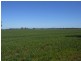 176 Bimbi Rd, Young NSW 2594