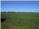 176 Bimbi Rd, Young NSW 2594