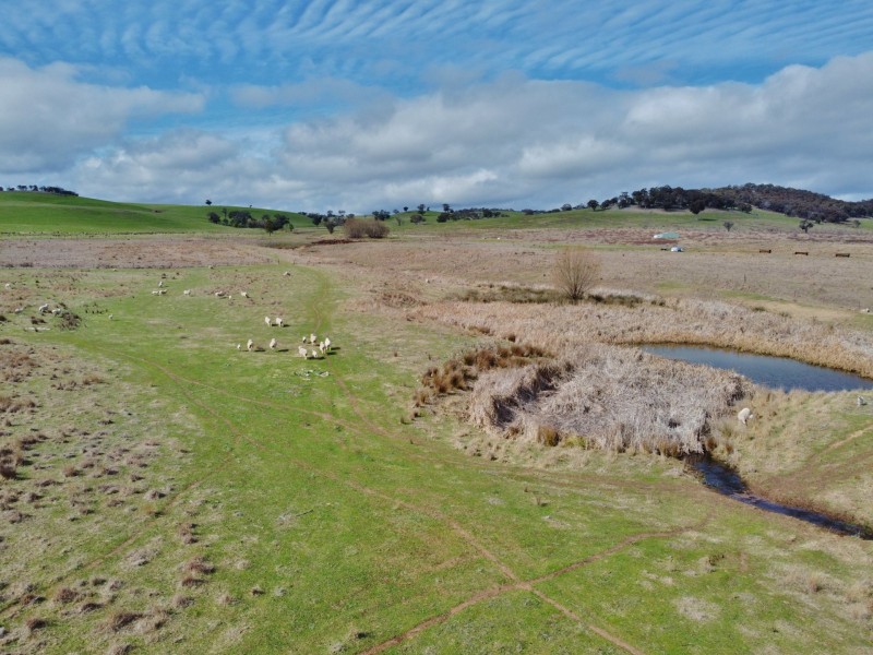 127 Calabash Road, Murringo, via, Young NSW 2594