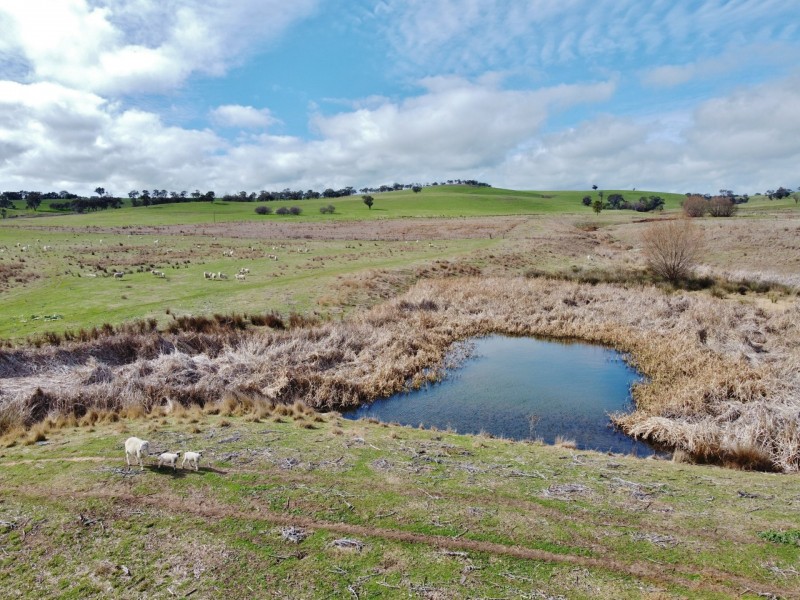 127 Calabash Road, Murringo, via, Young NSW 2594
