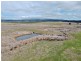 127 Calabash Road, Murringo, via, Young NSW 2594