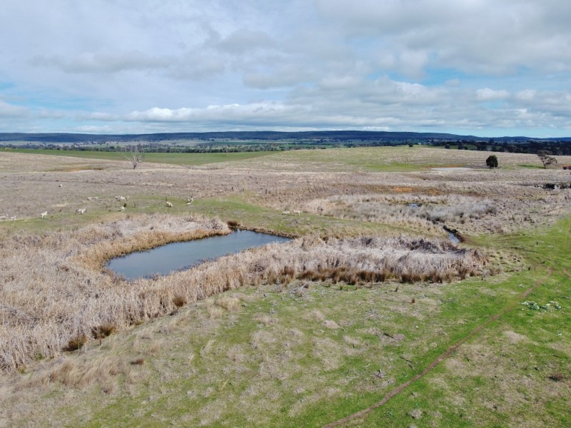 127 Calabash Road, Murringo, via, Young NSW 2594