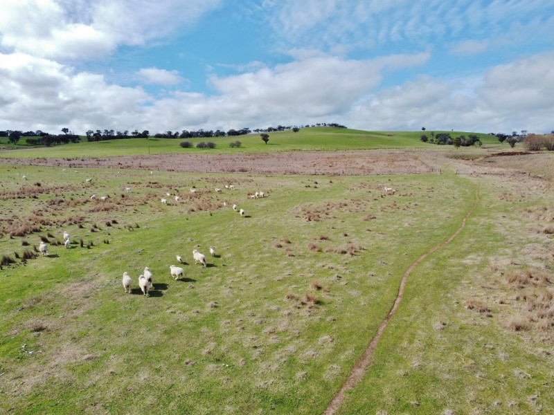 127 Calabash Road, Murringo, via, Young NSW 2594
