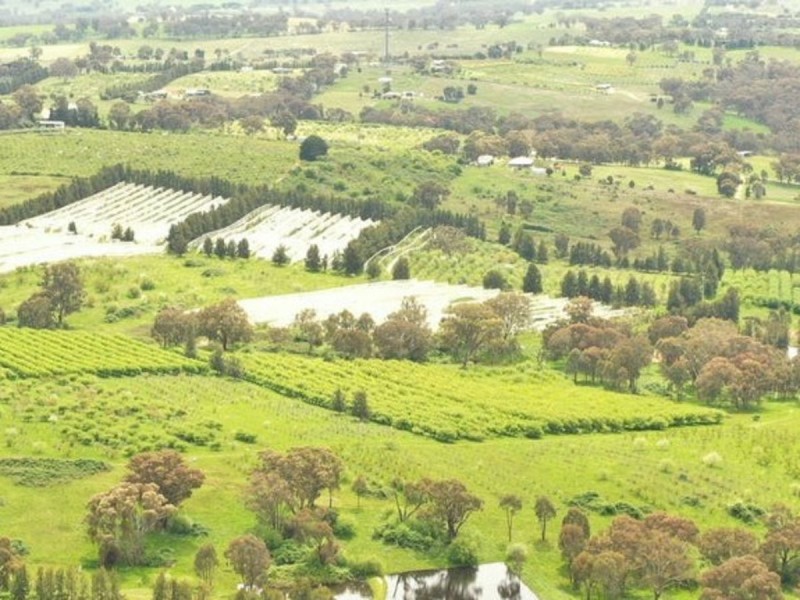 121 Apps lane, Young NSW 2594