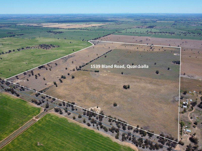 1539 Bland Road, Quandialla NSW 2721
