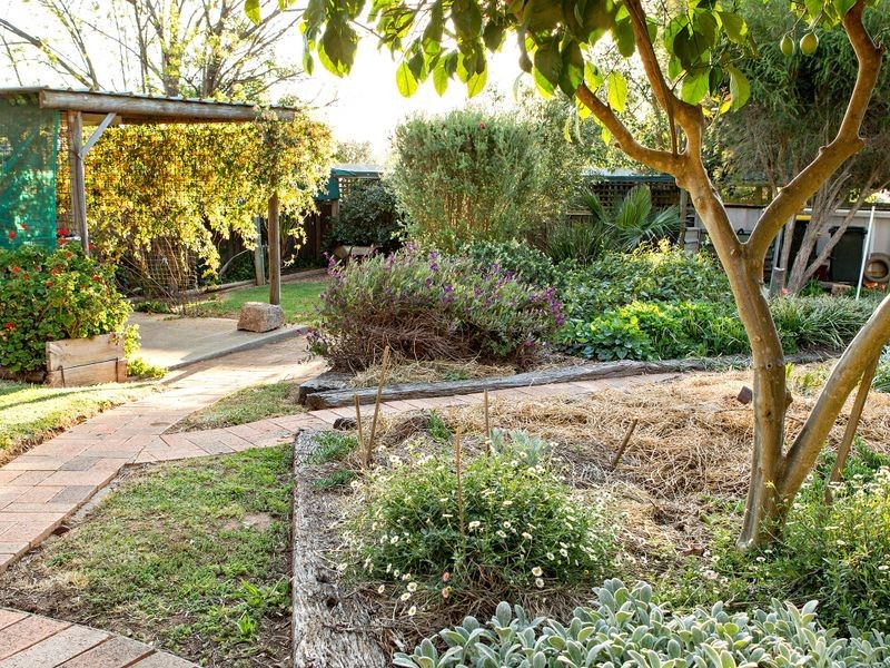 16 Toompang Street, Young NSW 2594