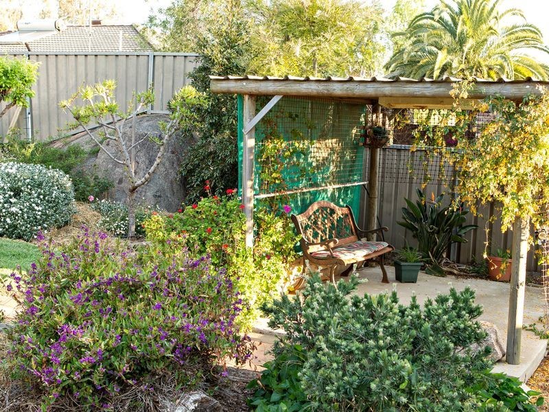 16 Toompang Street, Young NSW 2594