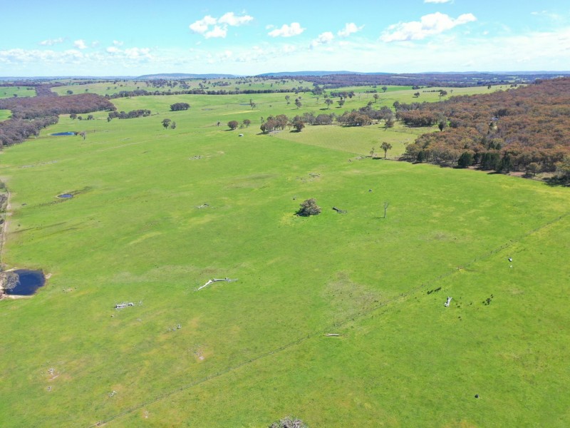 490 Geegullalong Road, Boorowa NSW 2586