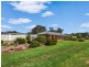 1395 Kingsvale Rd, Young NSW 2594