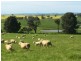 100 Powderly’s Road, Young NSW 2594