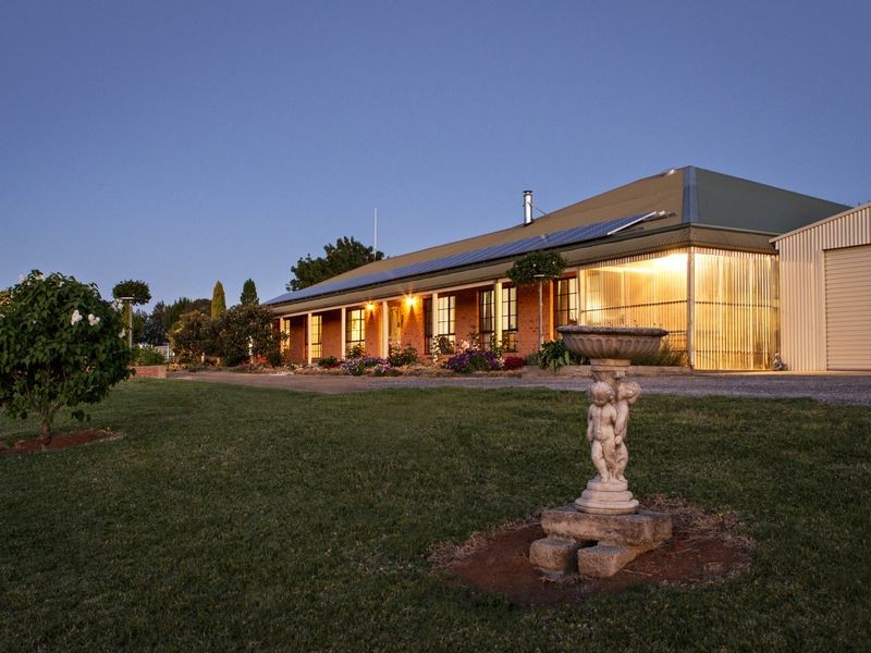 426 Back Creek Road, Young NSW 2594