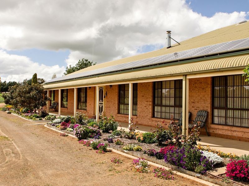 426 Back Creek Road, Young NSW 2594