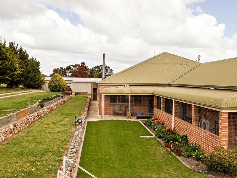 426 Back Creek Road, Young NSW 2594