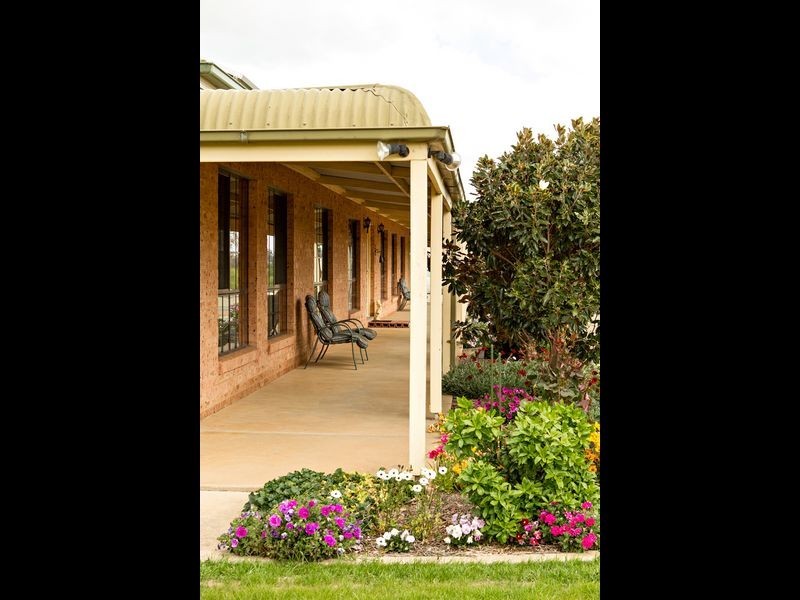 426 Back Creek Road, Young NSW 2594