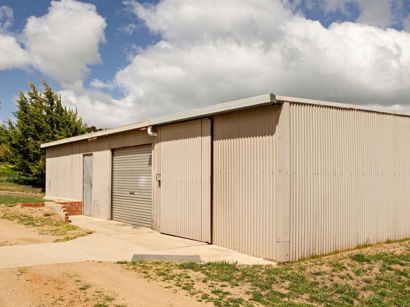 426 Back Creek Road, Young NSW 2594