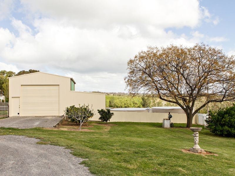 426 Back Creek Road, Young NSW 2594