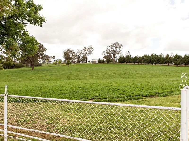 426 Back Creek Road, Young NSW 2594