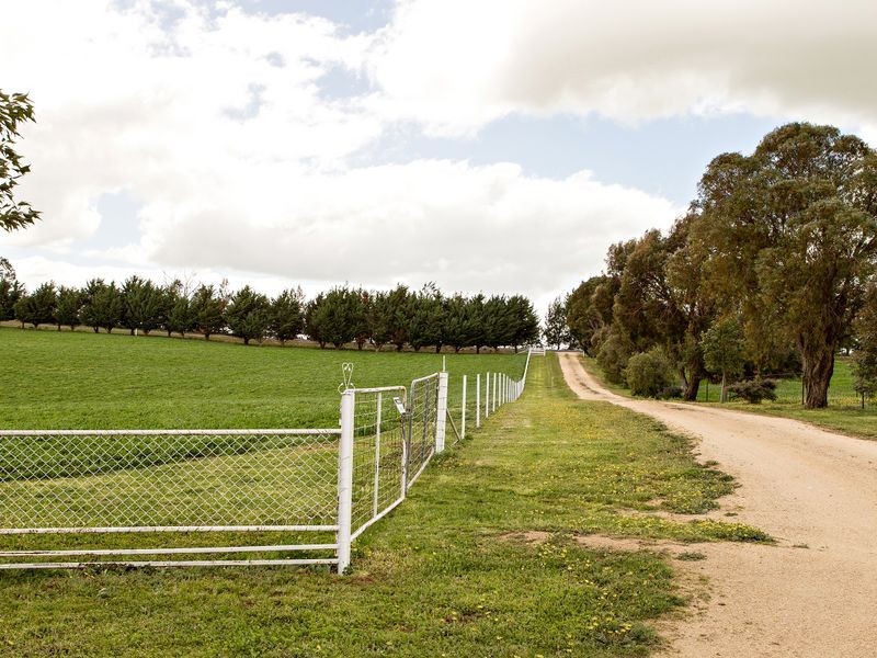 426 Back Creek Road, Young NSW 2594