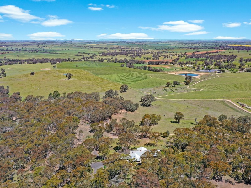 138 Black Range Road, Young NSW 2594