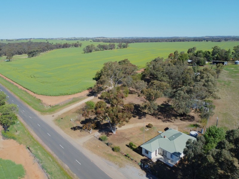 1791 Bribbaree Rd, THUDDUNGRA via, Young NSW 2594