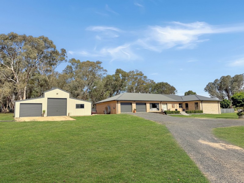 196 Pattersons Lane, Young NSW 2594