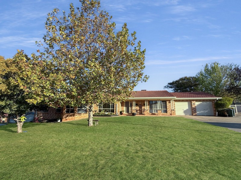 64 Back Creek Road, Young NSW 2594
