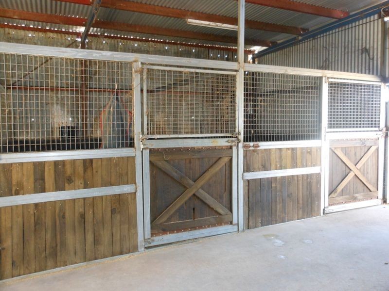 509 Wickham Lane, Young NSW 2594