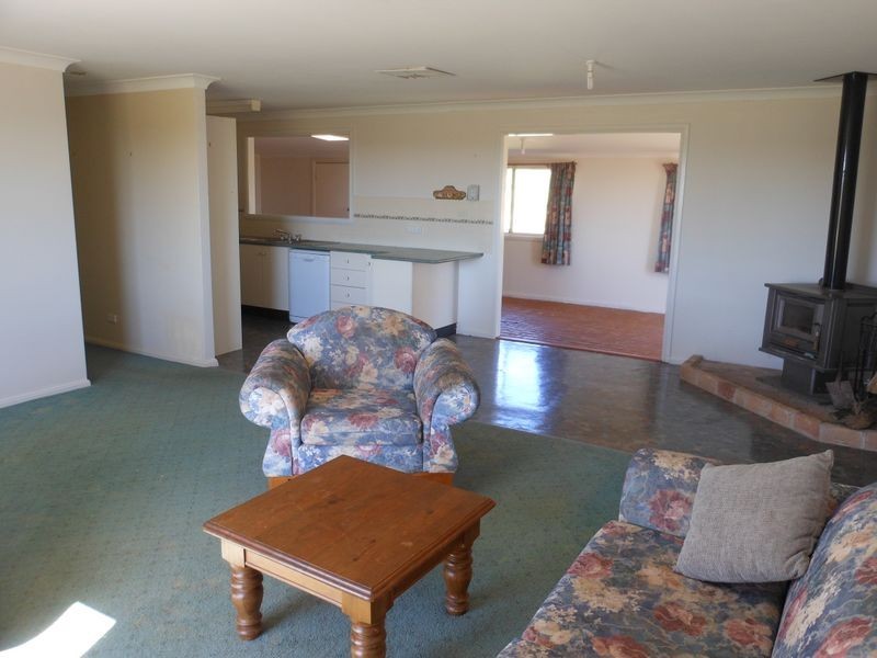 509 Wickham Lane, Young NSW 2594