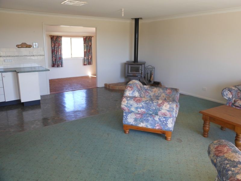 509 Wickham Lane, Young NSW 2594