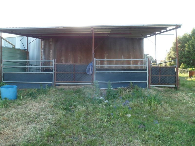 509 Wickham Lane, Young NSW 2594