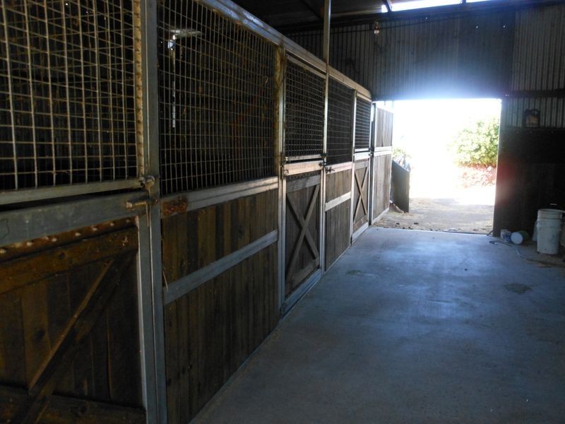 509 Wickham Lane, Young NSW 2594