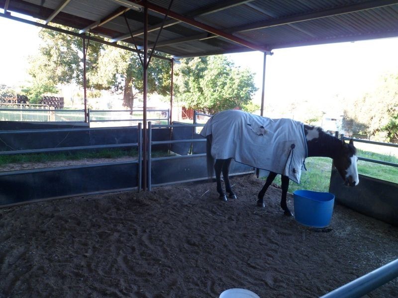 509 Wickham Lane, Young NSW 2594