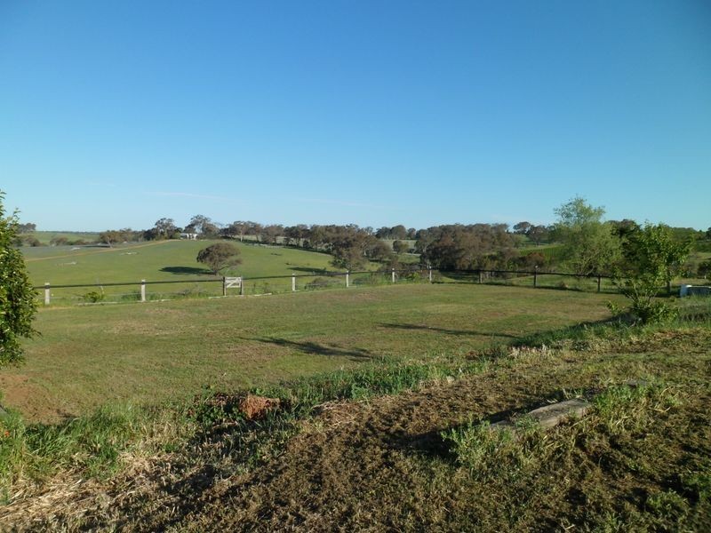 509 Wickham Lane, Young NSW 2594