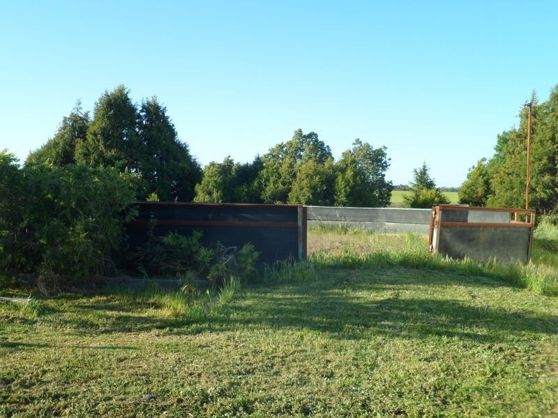 509 Wickham Lane, Young NSW 2594