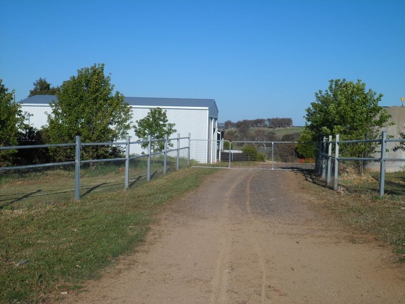 509 Wickham Lane, Young NSW 2594