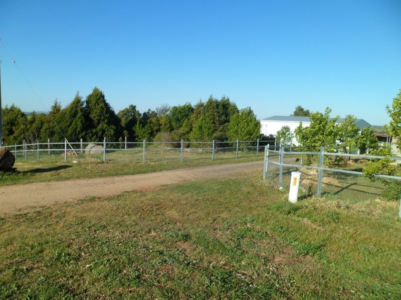 509 Wickham Lane, Young NSW 2594